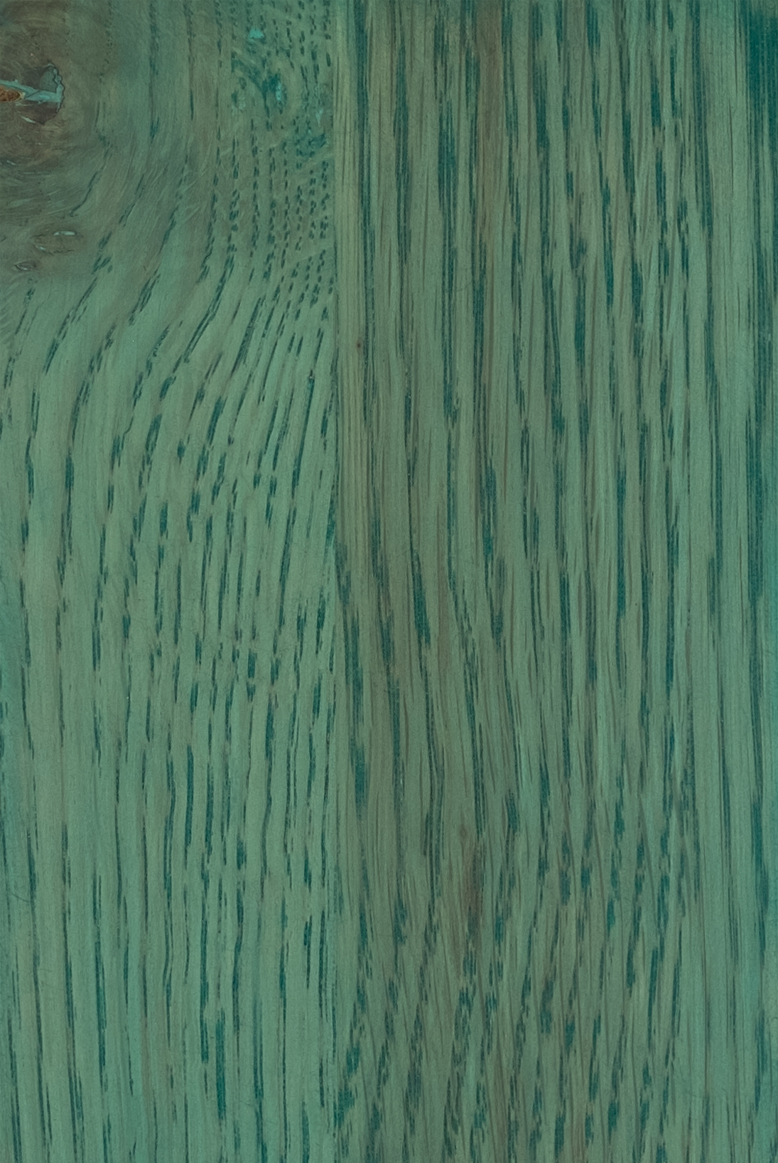 Mẫu màu Future Sea
